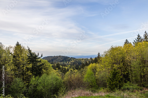 Lush Pacific Northwest Landscape