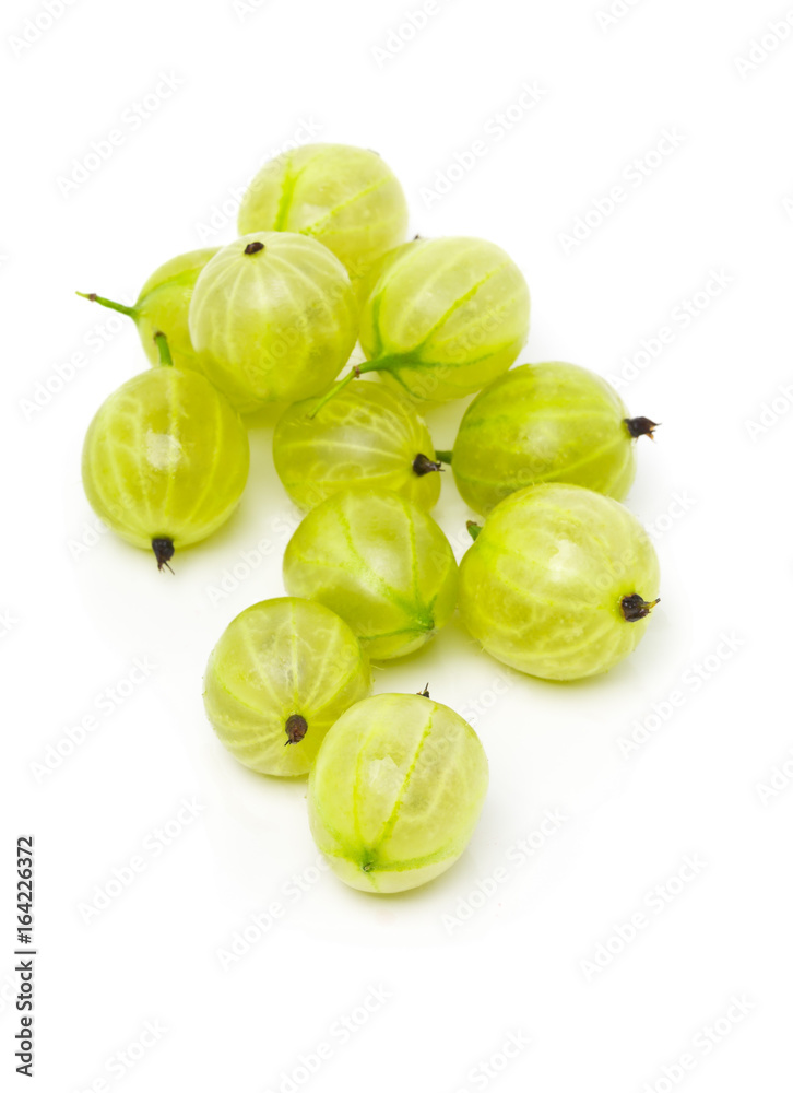 Heap of ripe, fresh harvested green gooseberry fruit Heap of ripe, fresh harvested green gooseberry fruit