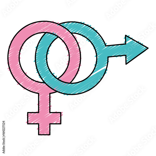 male and female symbol vector illustration design