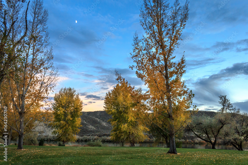 Fall colors on the Snake River Fall colors on the Snake River