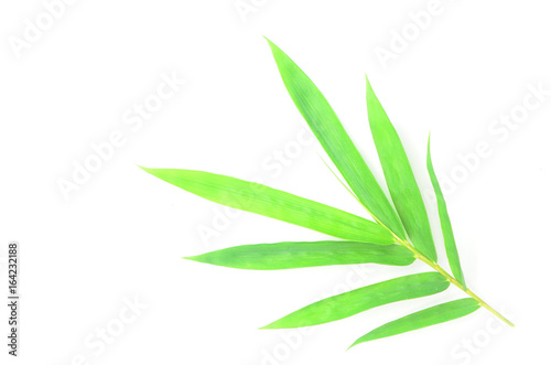 bamboo leaves on White background texture.beautiful surface