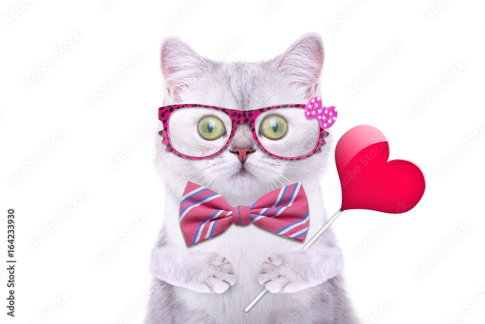 Smart handsome cat with icon heart. Funny animals. Trendy cat dressed in  beautiful clothes Stock Photo | Adobe Stock