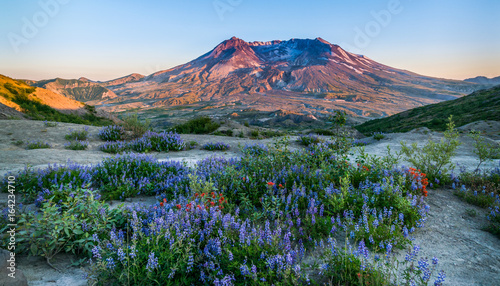 Mt. Saint Helens