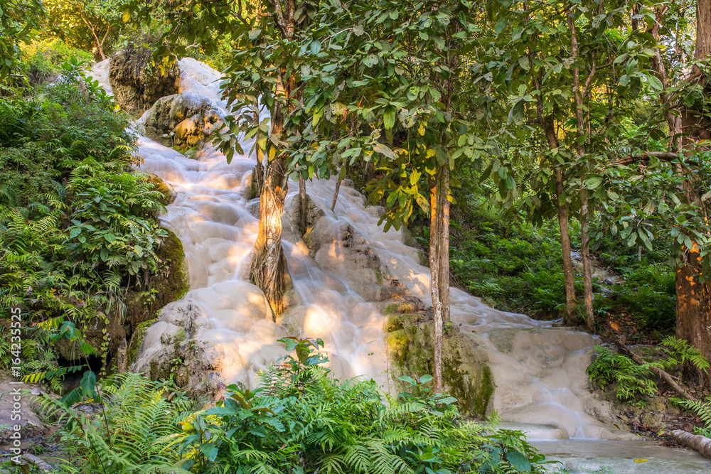 Fototapeta premium Namtok Bua Tong (Sticky waterfall) in Northern Thailand