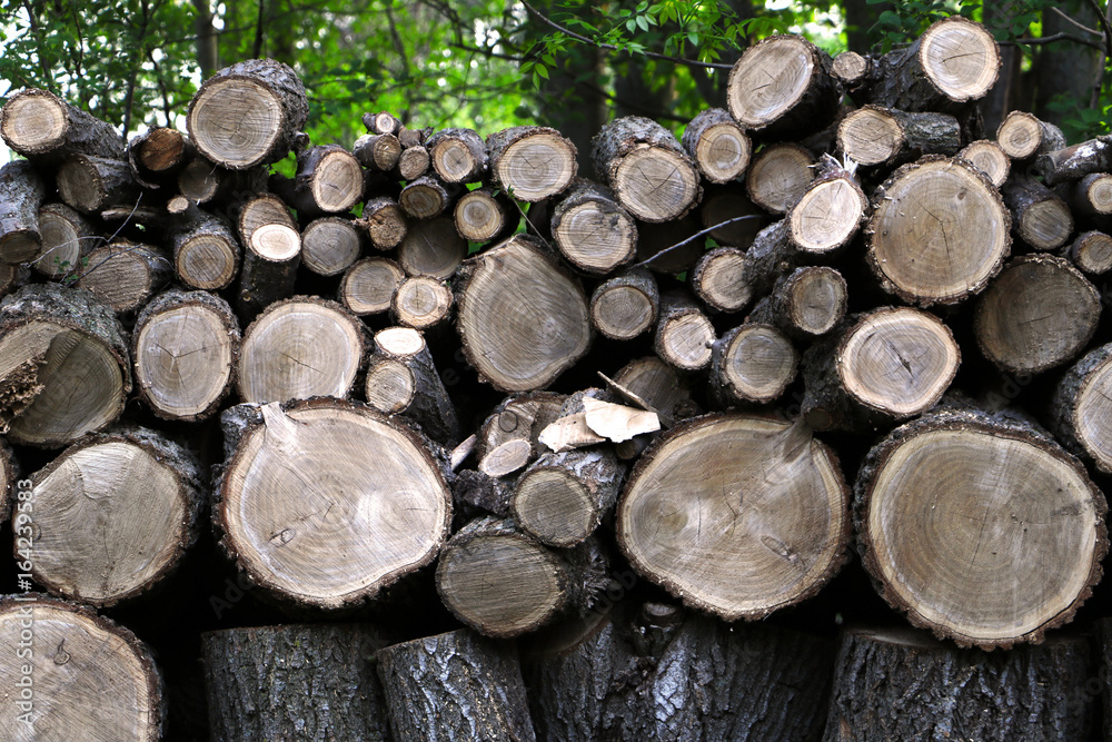Firewood Firewood