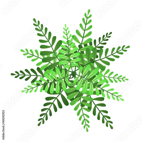 A green plant or tree, top view. Vector illustration, isolated on white background.
