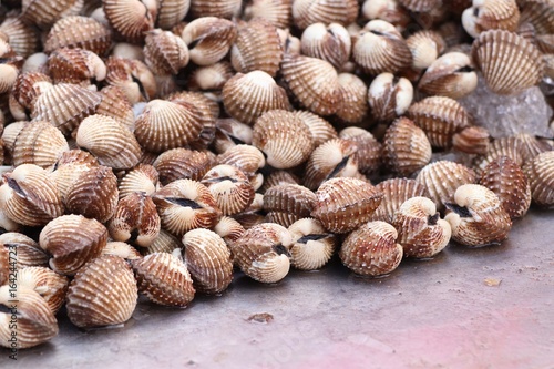 Cockle at street food