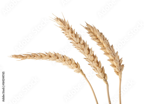 Three isolated spikelets on the white