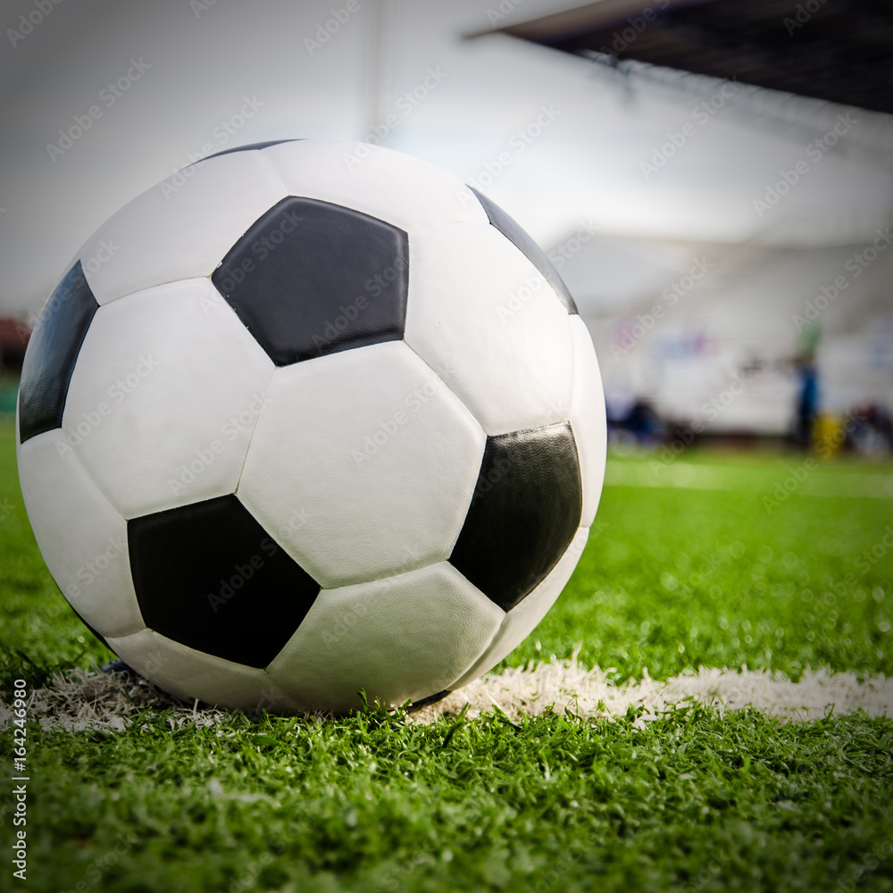 Obraz premium Soccer Football on the green grass of Soccer field.