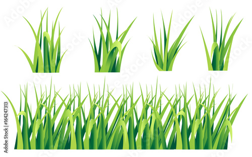 Tufts of grass. A set of design elements of nature. vector illustration isolated on white background. Summer natural grassy green elements Web site page and mobile app design vector element.