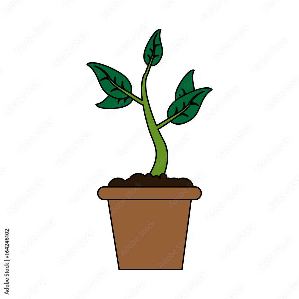 plant pot vector illustration plant pot vector illustration