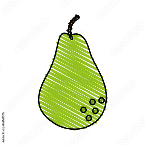 pear vector illustration