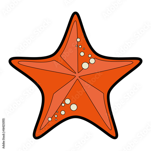sea star icon over white background vector illustration
