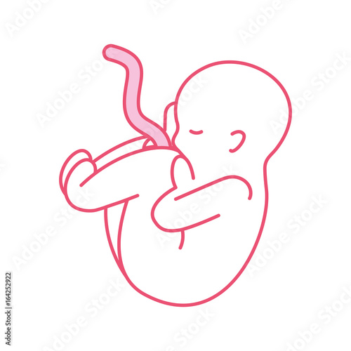 human fetus isolated icon vector illustration design