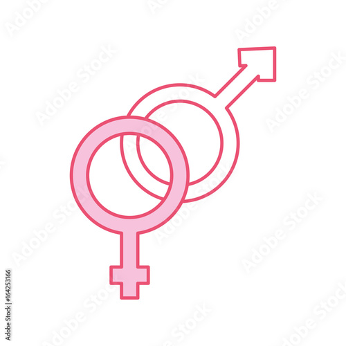 male and female symbol vector illustration design