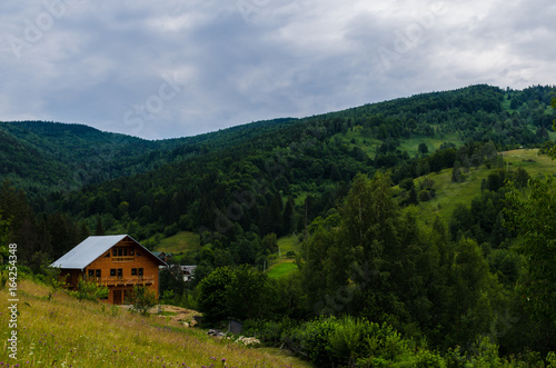 Carpathian mountains landscape in Ukraine in the summer season in Yaremche