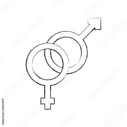 male and female symbol vector illustration design