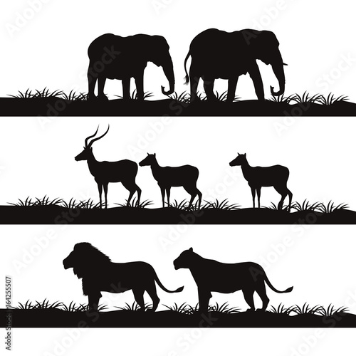 white background with banner monochrome african landscape with wild animals