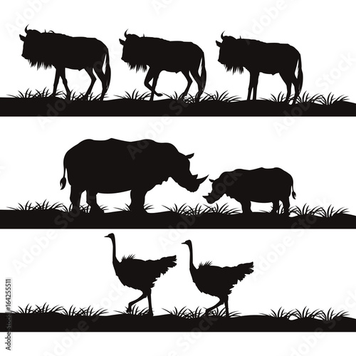 white background with banner monochrome african landscape with wild herd animals