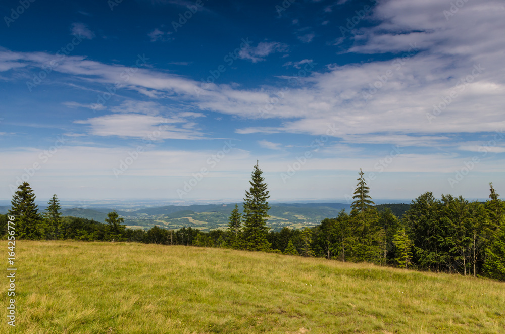 Carpathian mountains landscape in Ukraine in the summer season in Yaremche Carpathian mountains landscape in Ukraine in the summer season in Yaremche