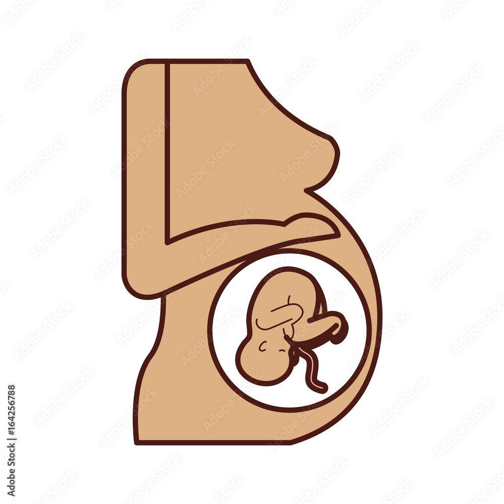 Pregnant woman with her fetus vector illustration design Pregnant woman with her fetus vector illustration design