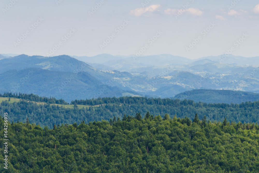 Carpathian mountains landscape in Ukraine in the summer season in Yaremche