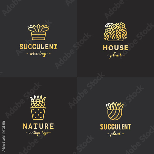 Succulents and cacti gold vector set. Part three.