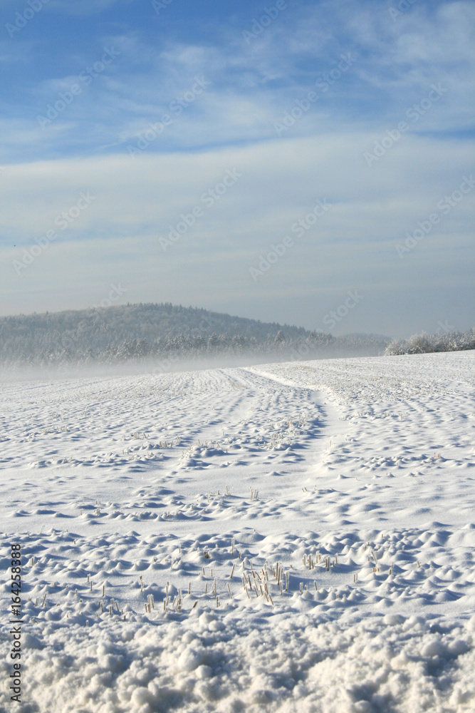 Winterlandschaften auf der Schwäbischen Alb