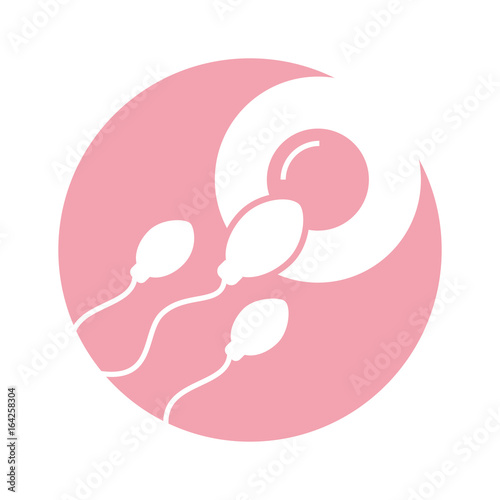 Fertilization of the ovum by the spermatozoon vector illustration design