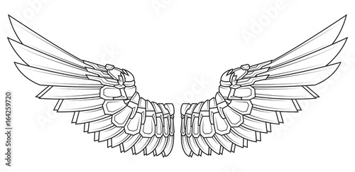 Cartoon wings in black and white