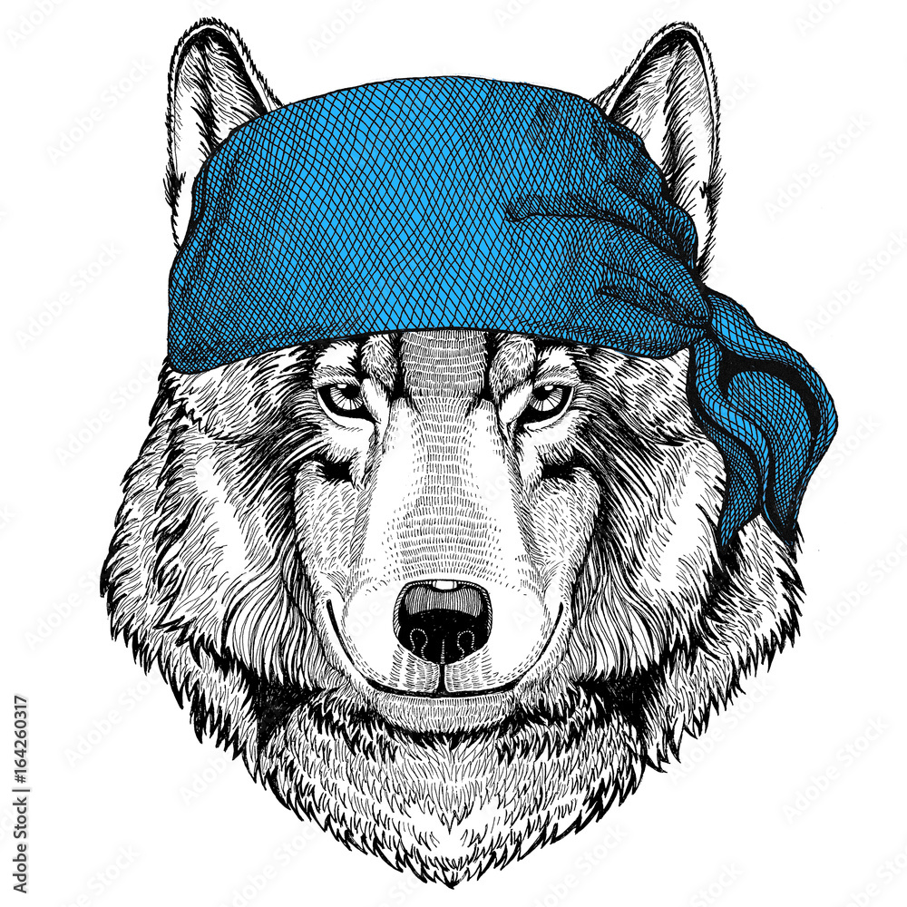 Wolf Dog Wild animal wearing bandana or kerchief or bandanna Image for  Pirate Seaman Sailor Biker Motorcycle Stock Illustration | Adobe Stock