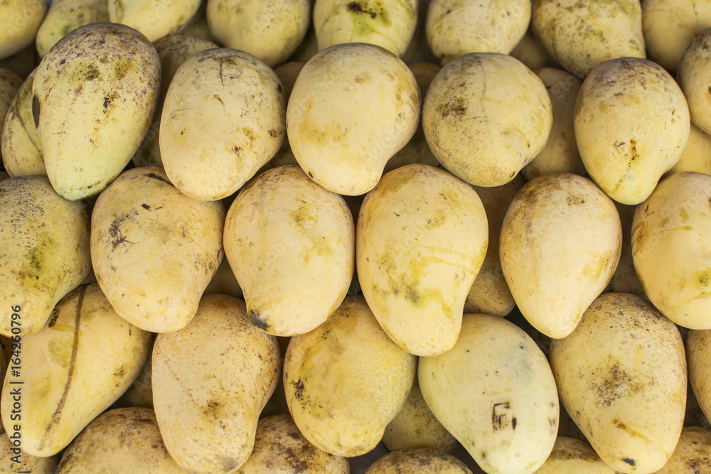 Pile of ripe mangoes at the market, fruit business Pile of ripe mangoes at the market, fruit business