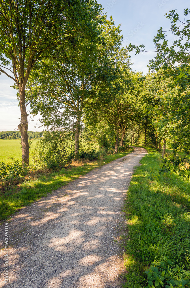 Narrow winding path in a rural landscape