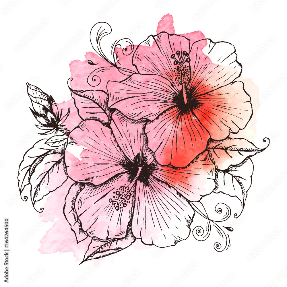 Flower tropical Hibiscus. Hand drawn sketch bouquet. Texture background ...