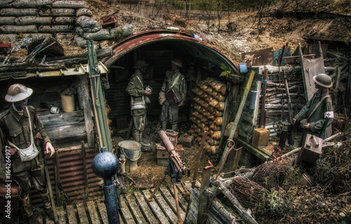 Wall Mural World War one trenches