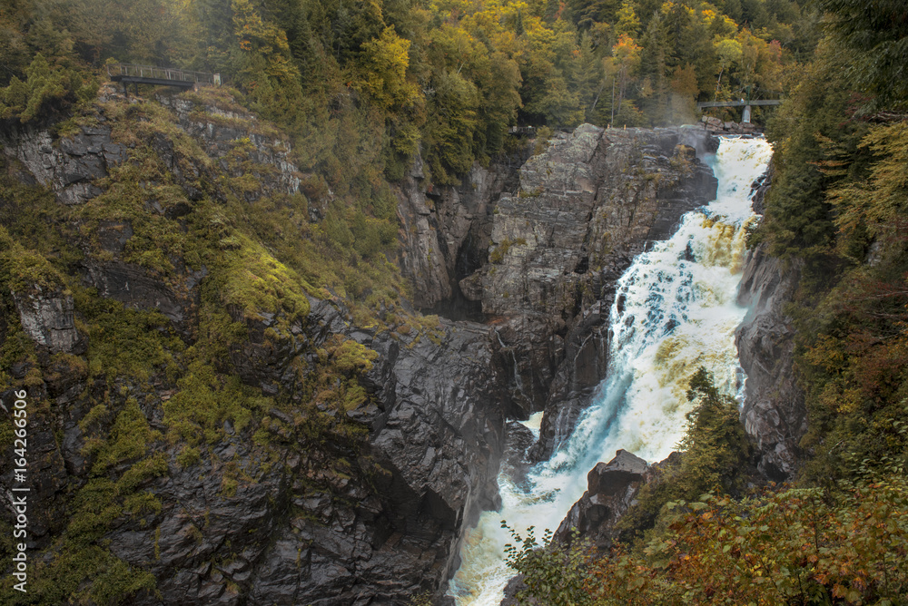 Obraz premium Canada Forest /waterfall