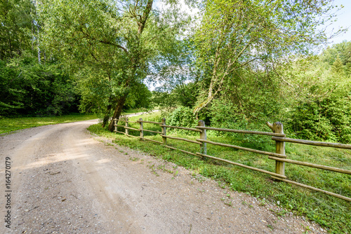 gravel road in summer countryside