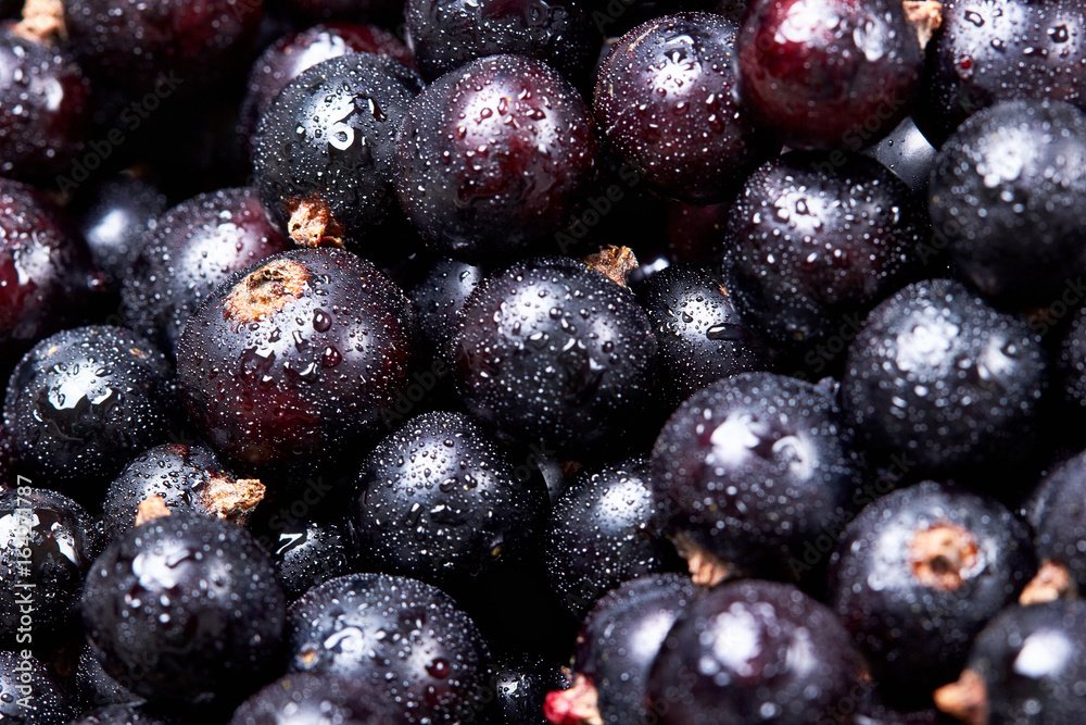 Black currant with water drops.top view.Fresh berries.Harvest of berries.Texture.Closeup Black currant with water drops.top view.Fresh berries.Harvest of berries.Texture.Closeup