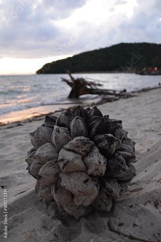 Plage de Ko Samui