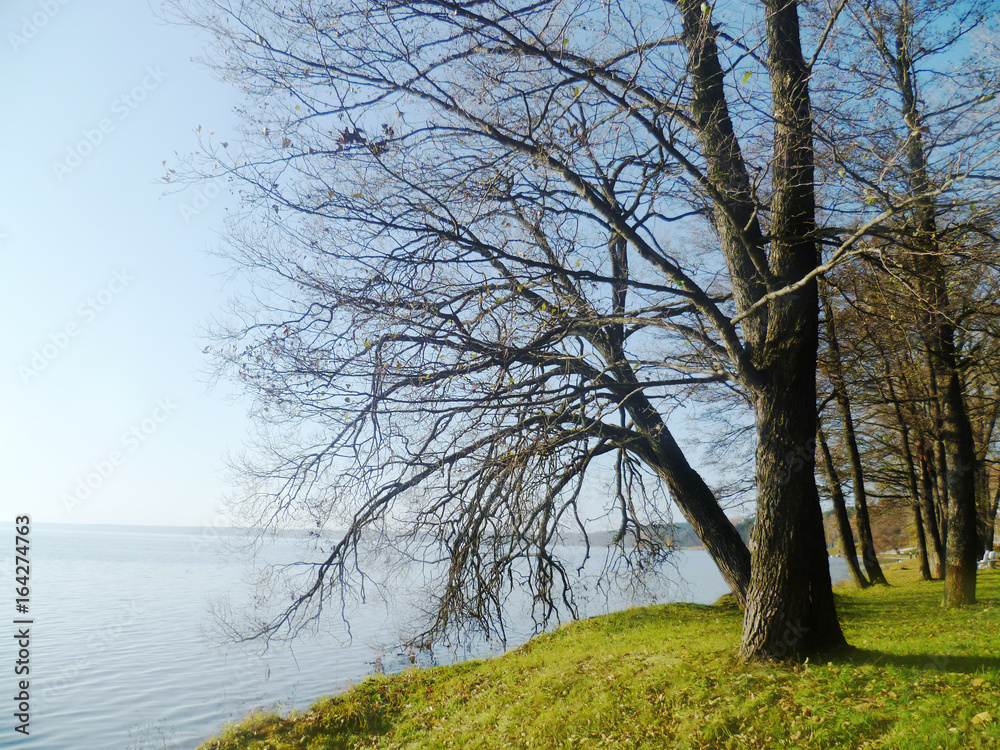 Obraz premium Beautiful landscape of beach and the sea