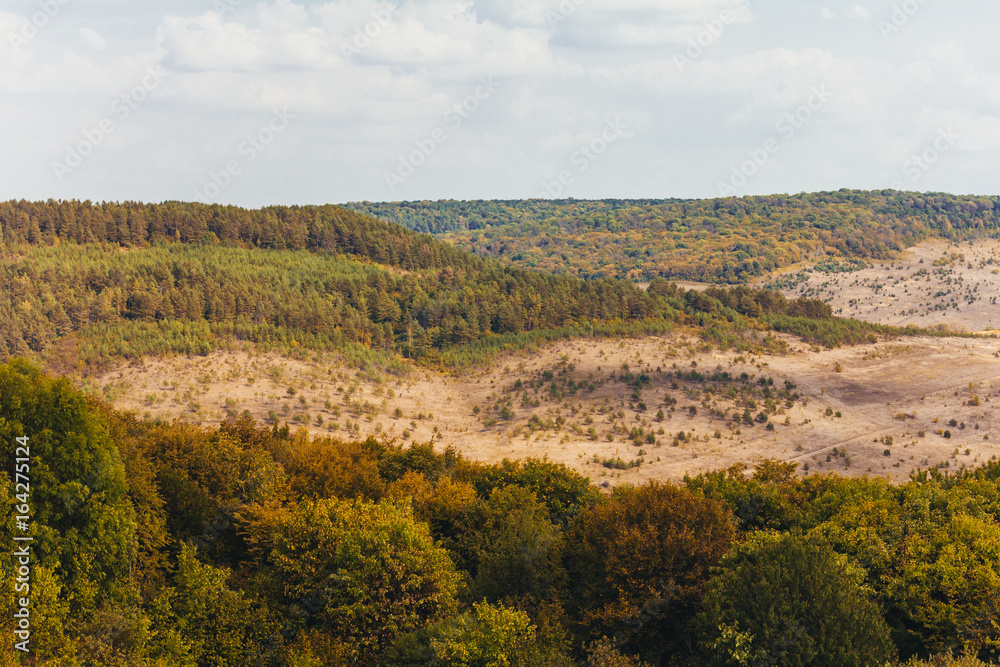 Naklejka premium Mountain landscape with forest and sky