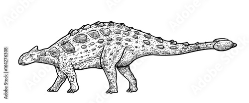 Ankylosaurus illustration, drawing, engraving, ink, line art, vector photo