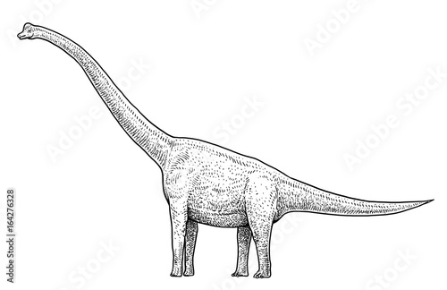 Brachiosaurus illustration  drawing  engraving  ink  line art  vector