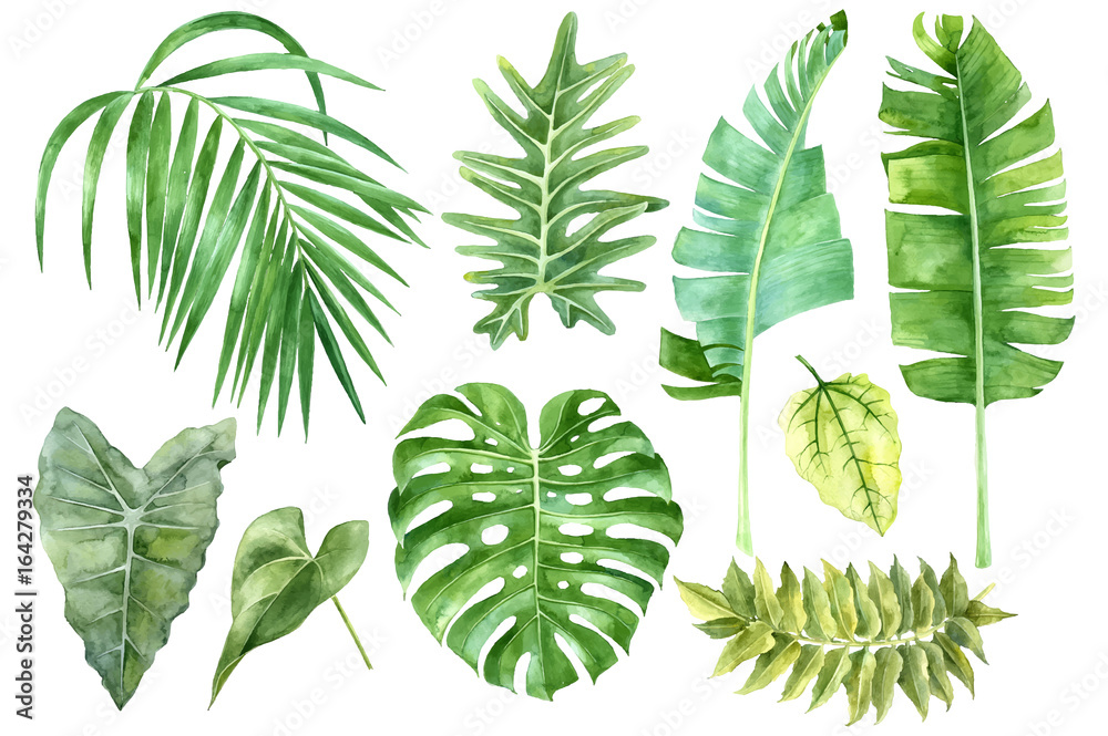 Set of tropical watercolor leaves - obrazy, fototapety, plakaty 