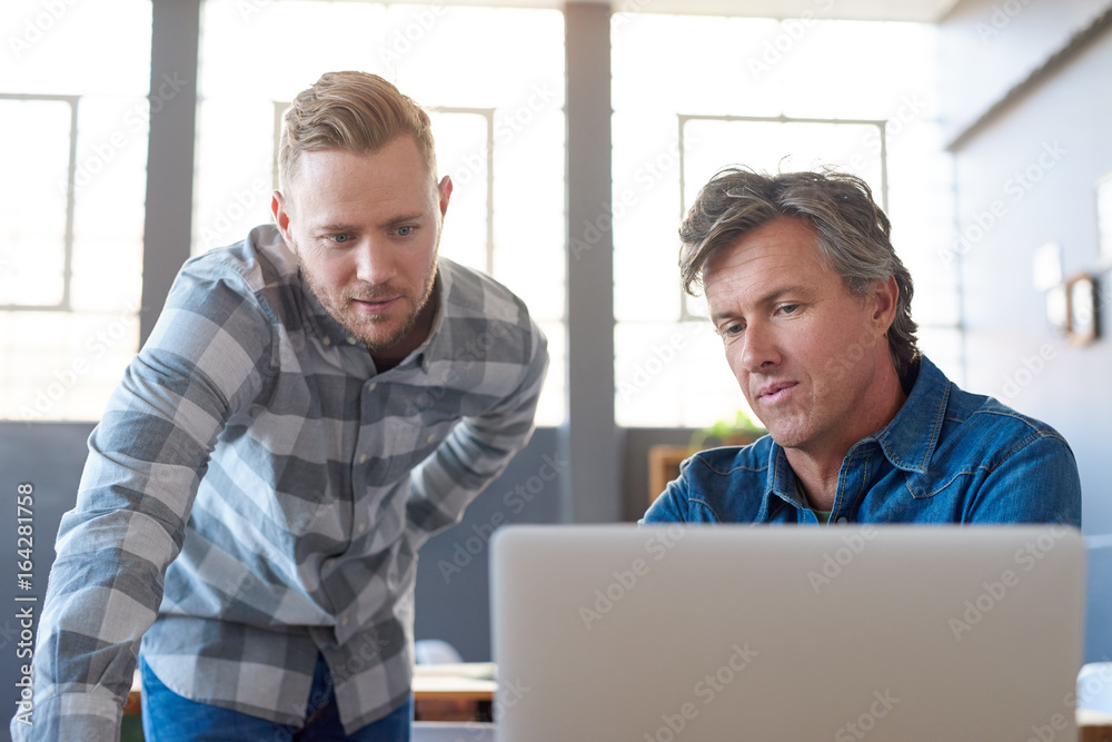 Fototapeta premium Focused young businessmen using a laptop at an office desk