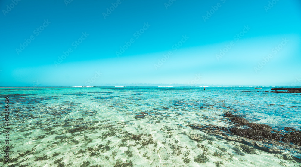 Meeresleben an der Küste mit blauem tropischen Wasser Meeresleben an der Küste mit blauem tropischen Wasser