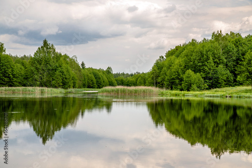 Fototapeta Naklejka Na Ścianę i Meble -  Landscape with a forest lake in a summer day