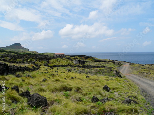 Wandern entlang der Küste bei Biscoitos, Terceira, Azoren, Portugal