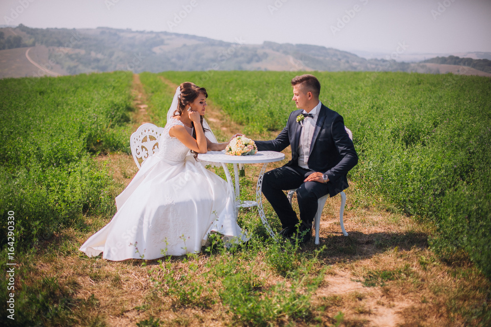 bride touching groom's hand at table in field