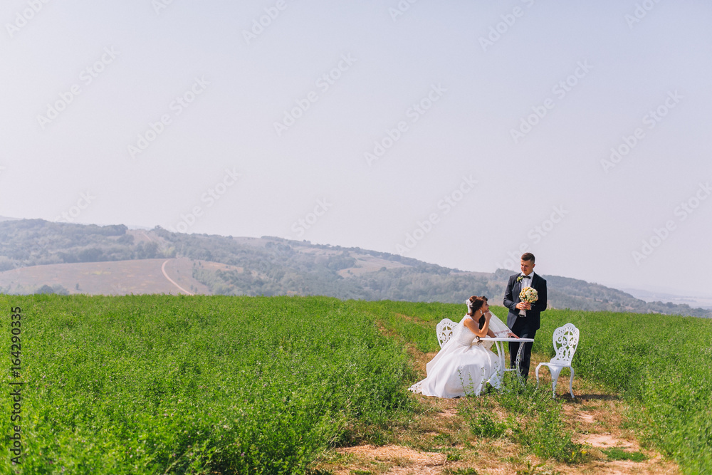 bride touching groom's hand at table in field